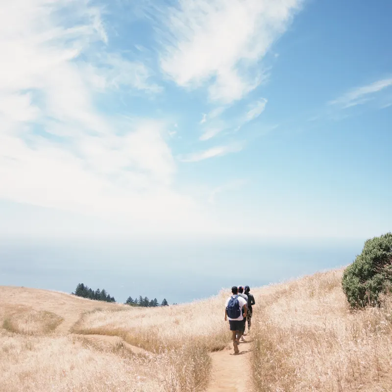Two hikers on a path through golden grass toward the ocean