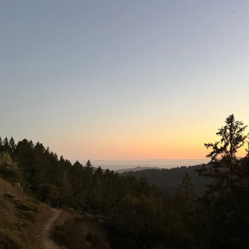 Sunset over forested hills, with a trail winding down the slope